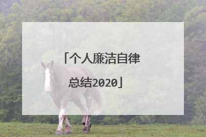 个人廉洁自律总结2020