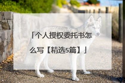 个人授权委托书怎么写【精选5篇】