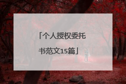个人授权委托书范文15篇