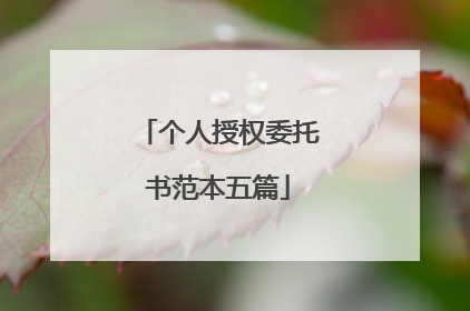 个人授权委托书范本五篇