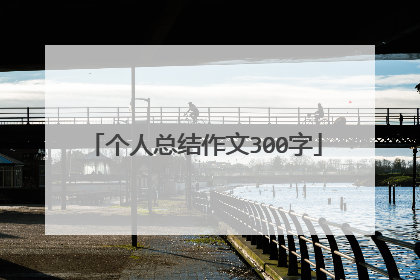 个人总结作文300字