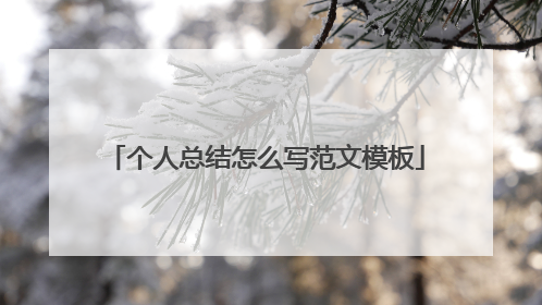 个人总结怎么写范文模板