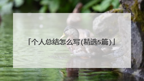 个人总结怎么写(精选5篇)