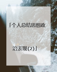 个人总结思想政治表现(2)