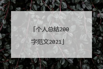 个人总结200字范文2021
