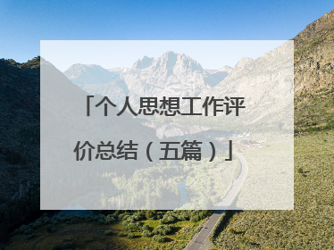 个人思想工作评价总结（五篇）