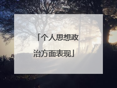 个人思想政治方面表现