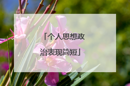 个人思想政治表现简短