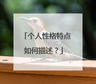 个人性格特点如何描述？