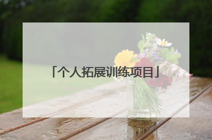 个人拓展训练项目