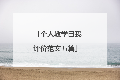 个人教学自我评价范文五篇