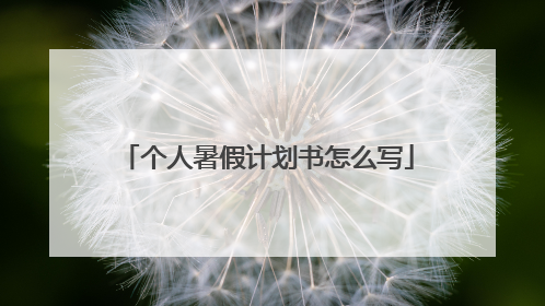 个人暑假计划书怎么写