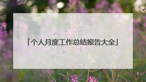 个人月度工作总结报告大全
