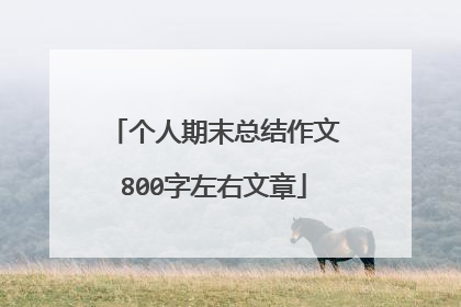 个人期末总结作文800字左右文章