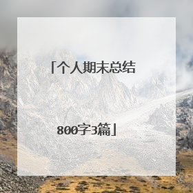 个人期末总结800字3篇