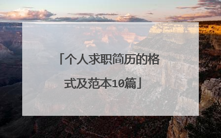 个人求职简历的格式及范本10篇