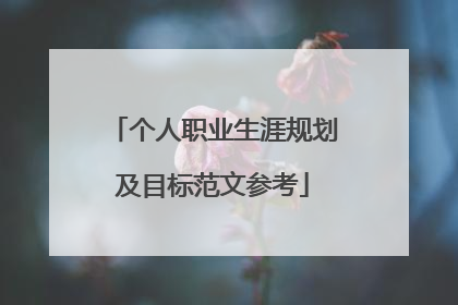 个人职业生涯规划及目标范文参考
