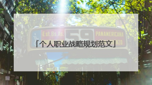 个人职业战略规划范文