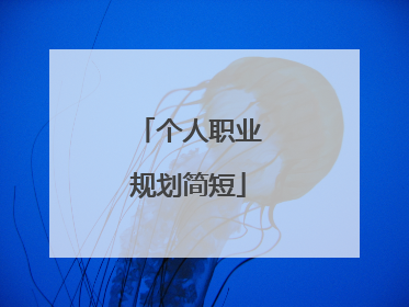 个人职业规划简短