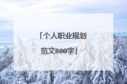 个人职业规划范文800字