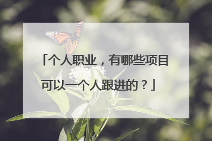 个人职业，有哪些项目可以一个人跟进的？
