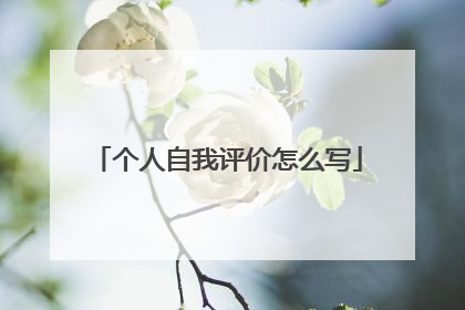 个人自我评价怎么写