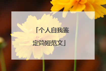 个人自我鉴定简短范文