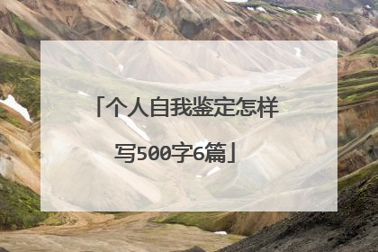 个人自我鉴定怎样写500字6篇
