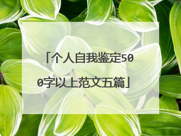 个人自我鉴定500字以上范文五篇