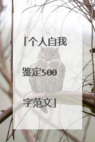 个人自我鉴定500字范文