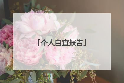 个人自查报告