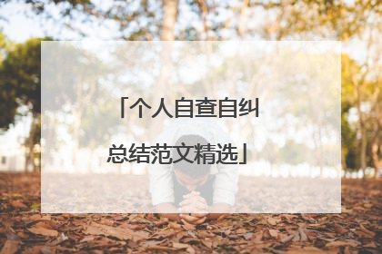 个人自查自纠总结范文精选