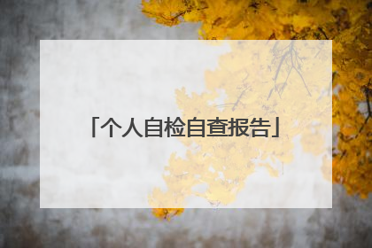 个人自检自查报告