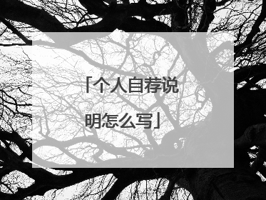 个人自荐说明怎么写