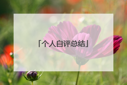 个人自评总结