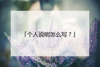 个人说明怎么写?