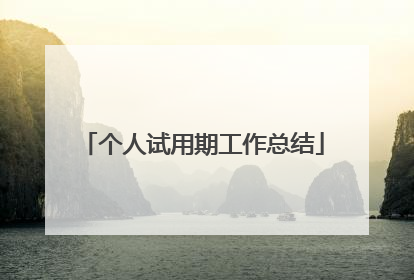 个人试用期工作总结