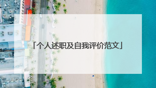 个人述职及自我评价范文