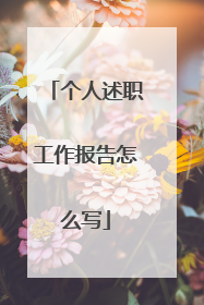 个人述职工作报告怎么写