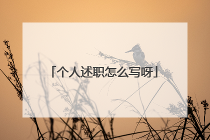 个人述职怎么写呀