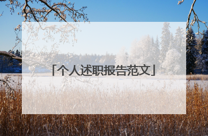 个人述职报告范文