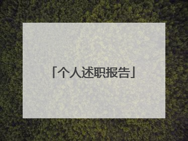 个人述职报告