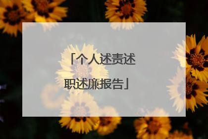 个人述责述职述廉报告