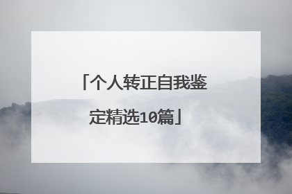 个人转正自我鉴定精选10篇