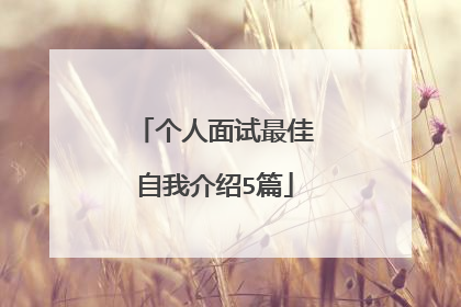 个人面试最佳自我介绍5篇