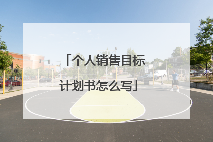 个人销售目标计划书怎么写