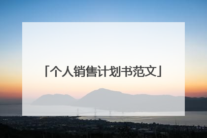 个人销售计划书范文