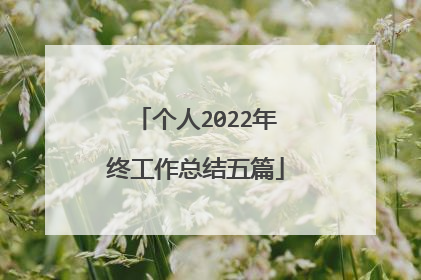 个人2022年终工作总结五篇