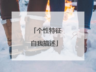 个性特征自我描述