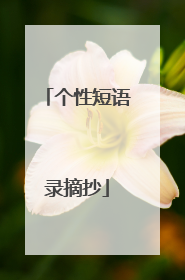 个性短语录摘抄